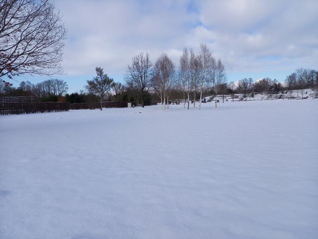 Foto: Winsen, Eckermann Park/Sabrina Grohs