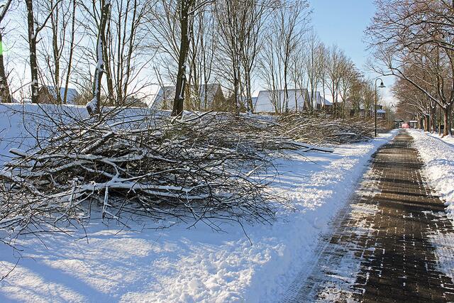 Entlang der Buxtehuder Straße türmen sich die Äste auf