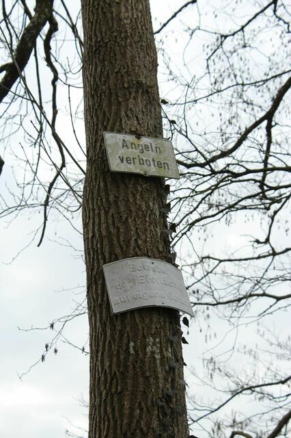 Früher gab es in dem Teich sogar Fische | Foto: sb