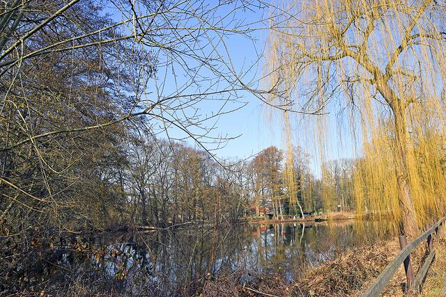 Das Grundstück grenzt unmittelbar an 
diesen Teich | Foto: ts