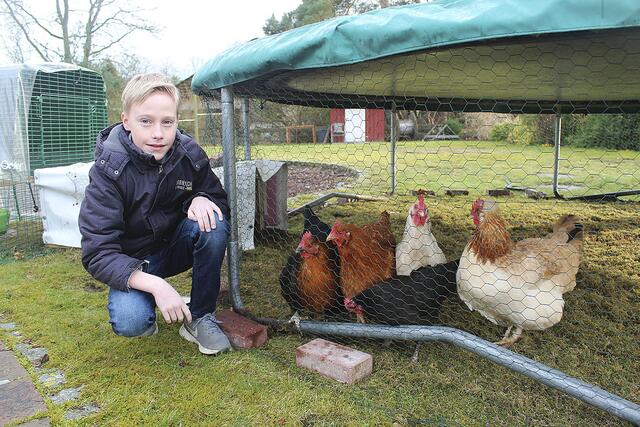 Die neugierigen Hühner kommen zur Begrüßung sofort an den Zaun, wenn sich Keke am
Hühnerauslauf unter dem Trampolin hinkniet | Foto: wd