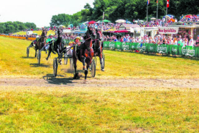 Lockt seit Jahrzehnten viele Pferdesport-Freunde an: das traditionelle Stover Rennen am Elbdeich
