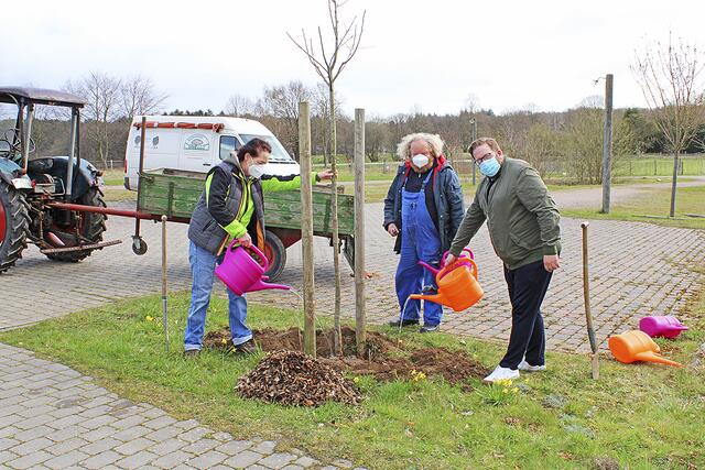 Pflanzen den Apfelbaum des Jahres im landwirtschaftlichen Entdeckergarten (v. li.): Gudrun Hofmann (BUND Hamburg), Pomologe Eckart Brandt und Kiekeberg-Museumsdirektor Stefan Zimmermann