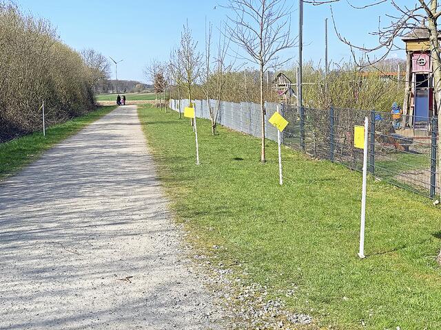 Achtung "Tretminen"! Leuchtend gelb zeigen die Fahnen an, wo überall ein Hundehaufen liegt | Foto: Kita Ahlerstedt