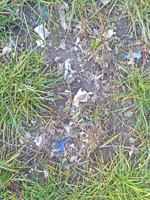 Die Erde ist mit zahlreichen Plastikteilen durchsetzt