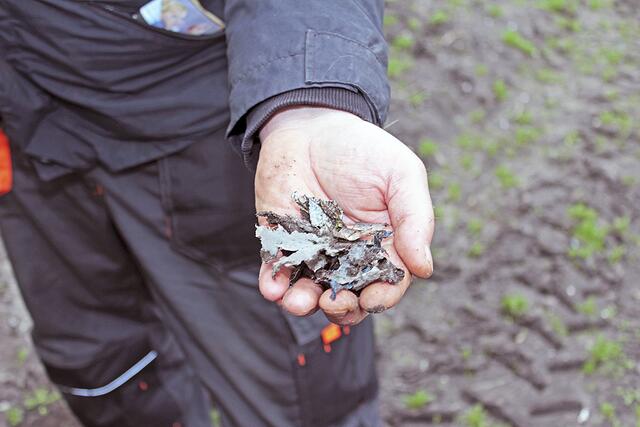 Auf nur wenigen Zentimetern lassen sich Unmengen Plastik finden