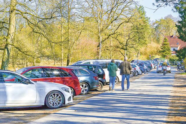 Die vielen Autos der Besucher bringen Anwohner in Rage: Das Büsenbachtal ist ein beliebtes Ausflugsziel | Foto: bim