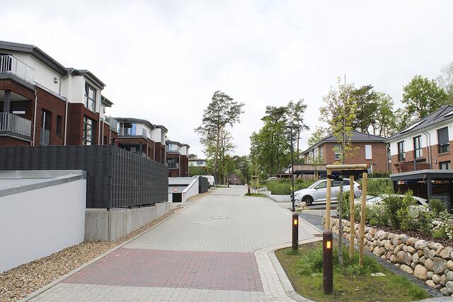 Hier ist schon lange das Leben eingekehrt: die Kyrill-Fläche an der Bremer Straße