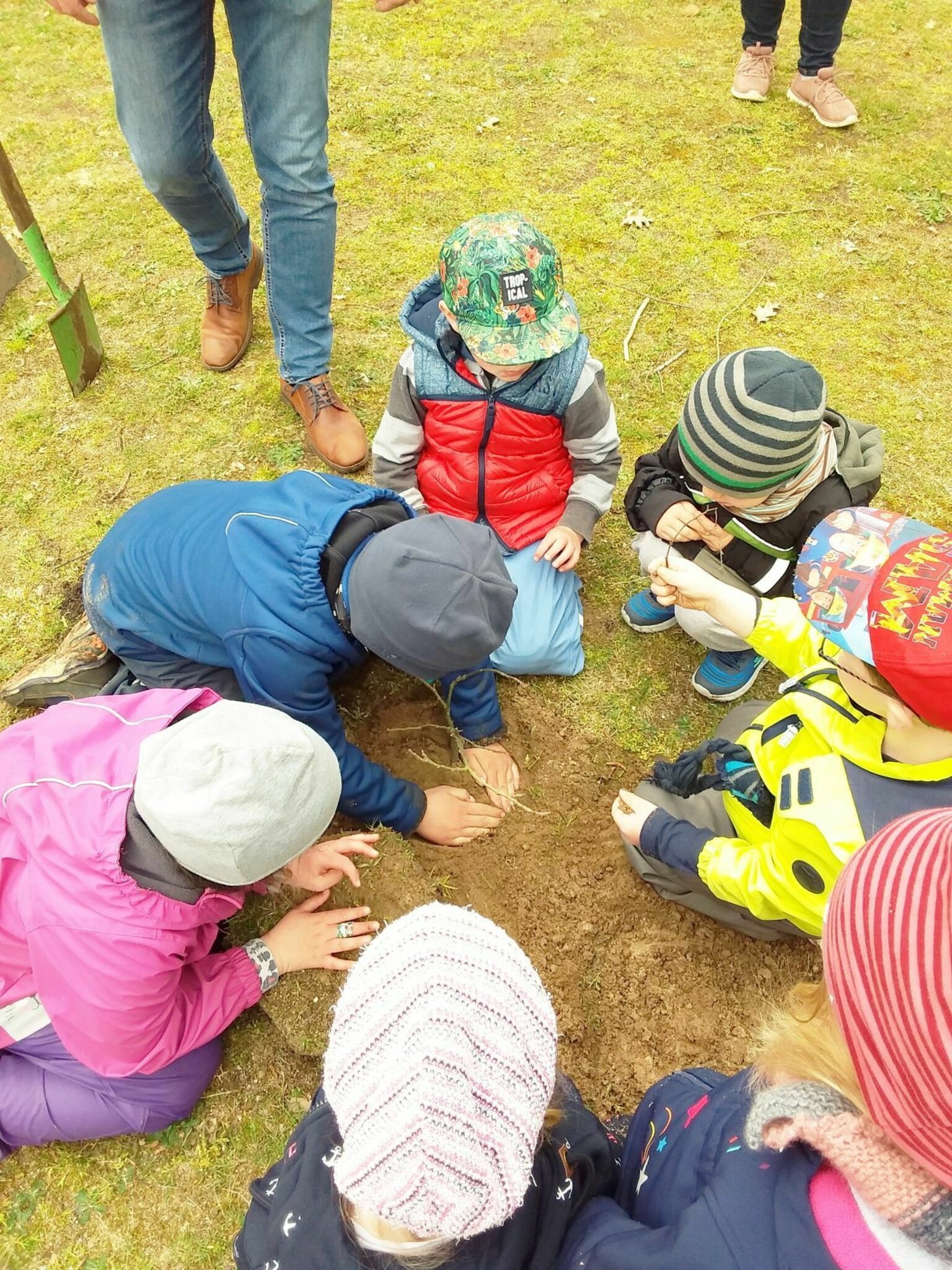 Kita-Kinder setzen Kastanie in Hechthausen: Kulturverein pflanzt junge ...