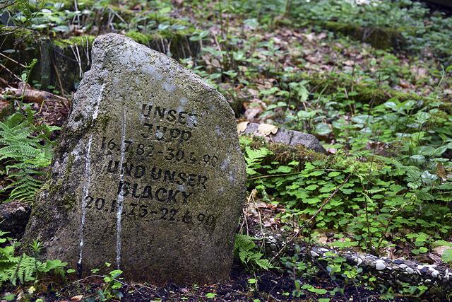 Grabsteine erzählen Geschichten. Hier erinnern Hundehalter an ihre Lieblinge Jupp und Blacky.  | Foto: ts