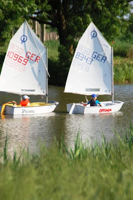 Piranha gegen Optima - wer macht das Rennen?