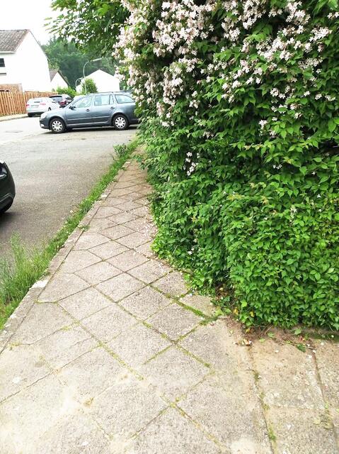 Der Fußweg am Westpreußenweg ist kaum noch passierbar | Foto: H. Hansen