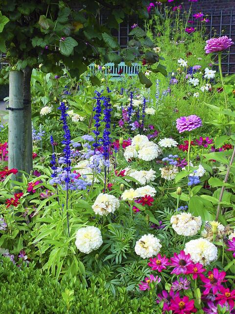 Soll der Garten Ruhe ausstrahlen, empfehlen sich Kombinationen innerhalb einer Farbfamilie, wie Lila, Violett und Blau | Foto: BGL