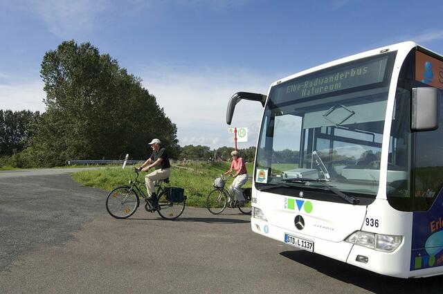 Der Elbe-Radwanderbus fährt im gesamten Landkreis Stade | Foto: Ann Kathrin Kampmeyer