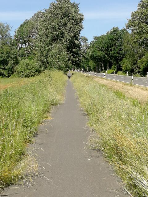 Der Radweg an der
Radbrucher Straße Foto: Speer