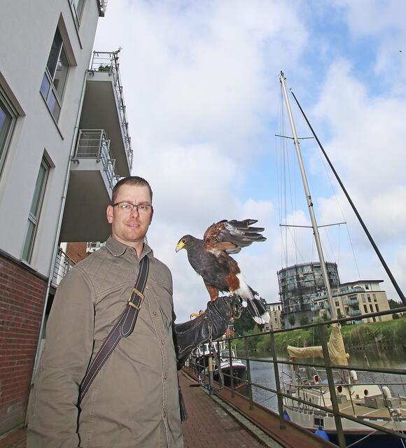 Der Falkner und sein Vogel: An der Schwinge war Hannis Einsatzgebiet | Foto: jd