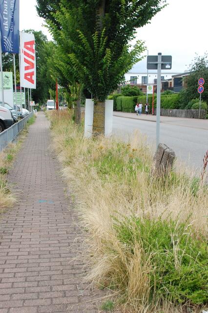 Einen halben Meter hoch stehen Gras und Unkraut auf den Grünstreifen in Neu Wulmstorf