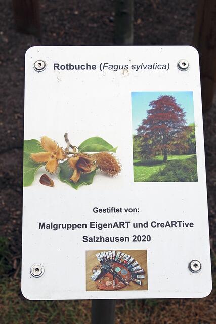Eine der Infotafeln an den gespendeten Bäumen