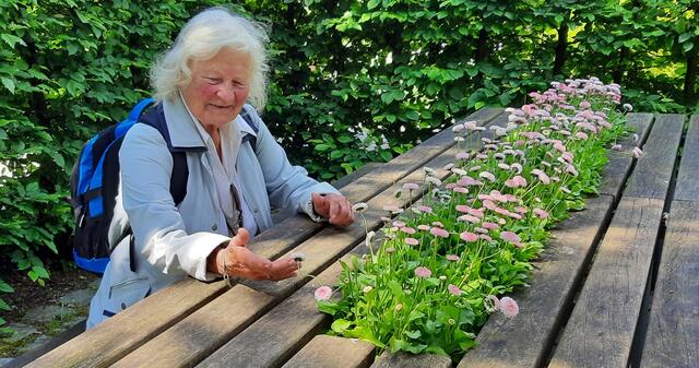 Heidrun Heinecke aus Winsen entdeckte diese natürliche Tischdekoration in Mölln (Schleswig Holstein) | Foto: Heinecke 