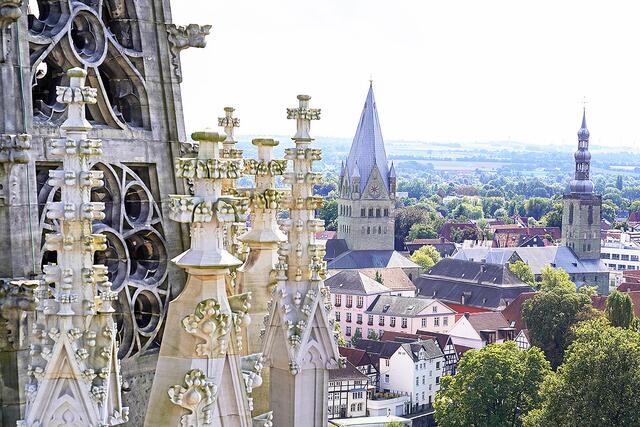 Die Türme der Altstadt bilden ein einmaliges Ensemble aus Grünsandstein