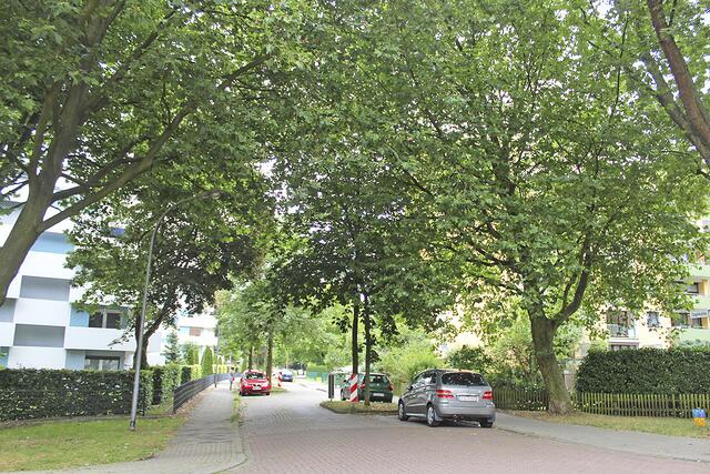 Wird das Stadtviertel rund um die Sagekuhle "abgehängt"? Anwohner sagen, dass das stimmt | Foto: tk