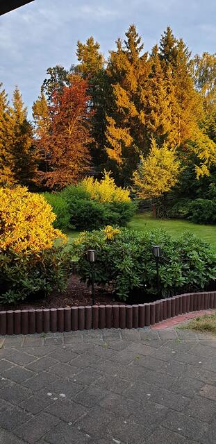 Ein wunderschöner Sonnenuntergang tauchte den Garten von Andrea Feger aus Nindorf in warme Farben | Foto: Feger 
