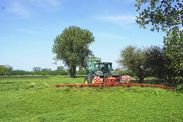 Die nachhaltige Produktion beginnt mitder Feldtrocknung der Gräser  | Foto:  Speers Hoff