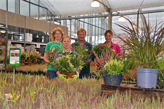 Heide und Chrysanthemen waren beliebt, so das Gartencenter Tobaben-Team