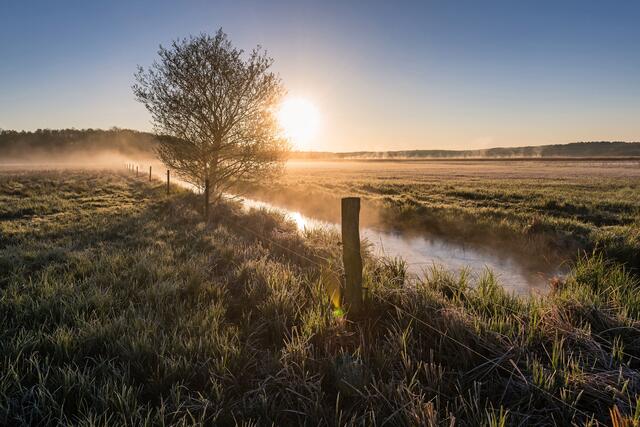 Der Zweiseitenweg durchs Rambower Moor verspricht zu jeder Jahreszeit Entdeckungen