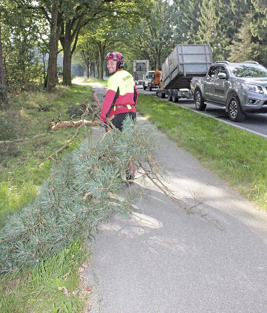 Direkt an der Straße steht der Häcksler, in den Marvin Maier die Äste entsorgt | Foto: jab
