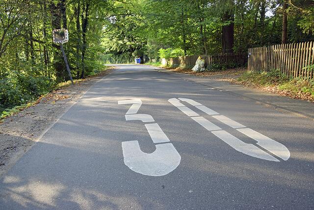 Der Ortsrat empfiehlt, in der Tempo-30-Zone im Natenbergweg in Emmelndorf Schwellen zu installieren | Foto: ts