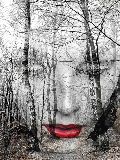 Das Gewinnerbild: "The face in the forest" von Gabi Hampe Foto: Hampe
