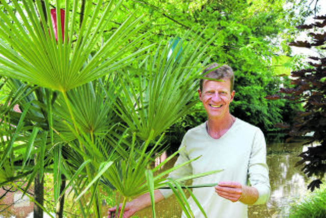 Palmenhändler Volker Sindel aus Lindhorst ist neues Mitglied im Gewerbeverein Hittfeld