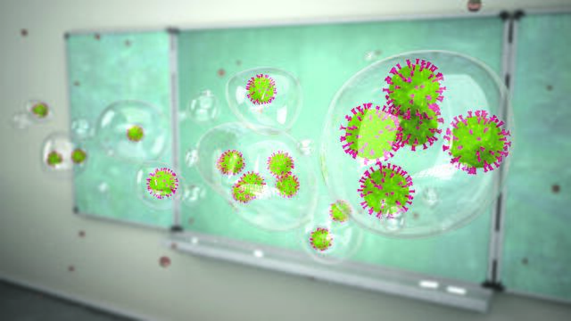 Foto: Adobe_Stock_Alexander_Limbach