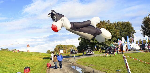 Auch lustige Motivdrachen gehören zum Repertoire | Foto: ig
