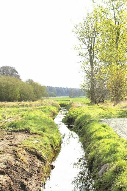 Der Kohlspring ist eine Station des Erlebnispfads. Der Bach wurde einst genutzt, um die Sunder Seen anzustauen und die Mühle anzutreiben