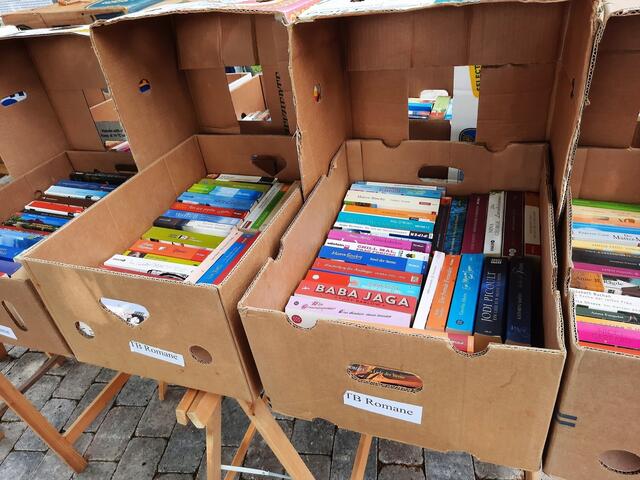Große Auswahl an Literatur