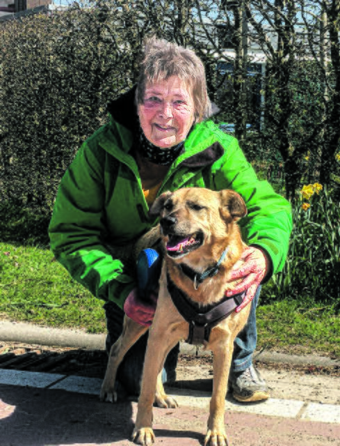 Luis wurde Sonja Ellmer aus Buxtehude vor zweieinhalb Jahren durch den Tierschutz Bendestorf vermittelt | Foto: Ellmer