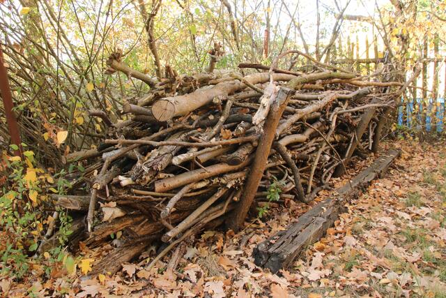 Aufschichten statt häckseln: Wer im Garten eine freie Ecke hat, kann dort Holz als Winterquartier für Tiere herrichten