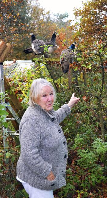 Ada Zodrow mit einem Teil der Pfau-Familie
