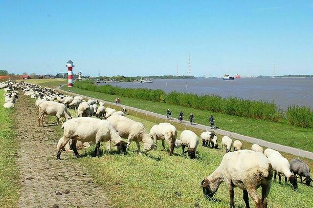 Der Deich am Lühe-Anleger - bei einer Sturmflut ist das Schließen der Schotttore 
lebensnotwendig, um die Bevölkerung vor Hochwasser zu bewahren | Foto: sla