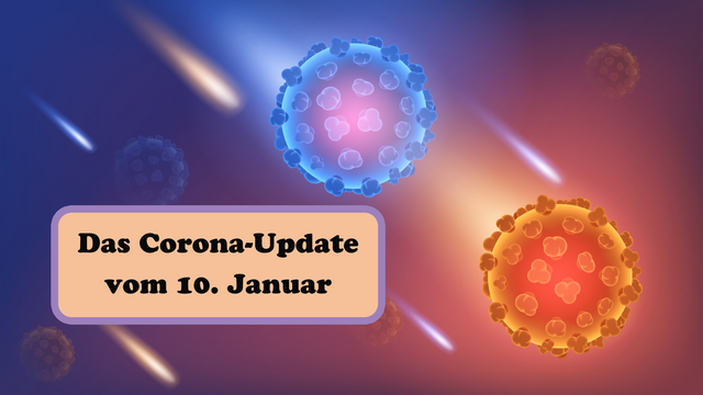 Foto: Adobe Stock/Zanderdesk