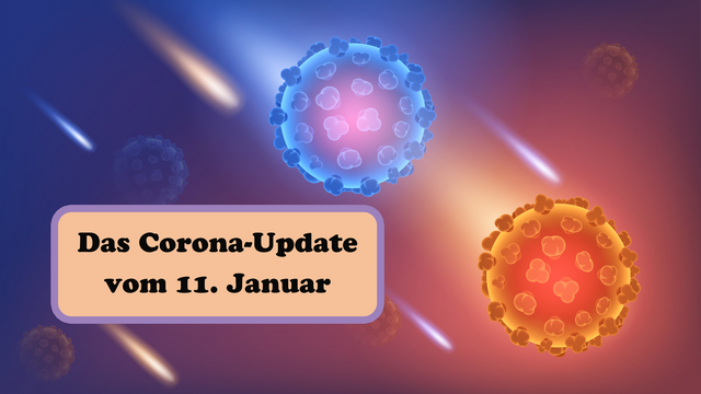 Foto: Adobe Stock/Zanderdesk