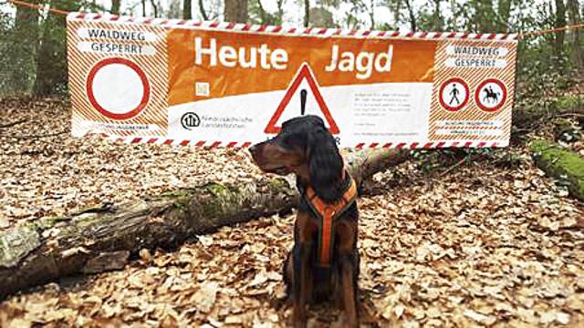 Am 28. Januar findet im Klecker Wald eine Jagd statt