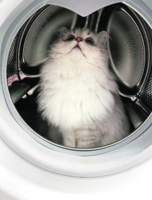 "Einmal waschen und föhnen, bitte!" Nicht ganz ungefährlich ist diese verlockende Höhle von Carli aus Seevetal | Foto: Lisa Marpert