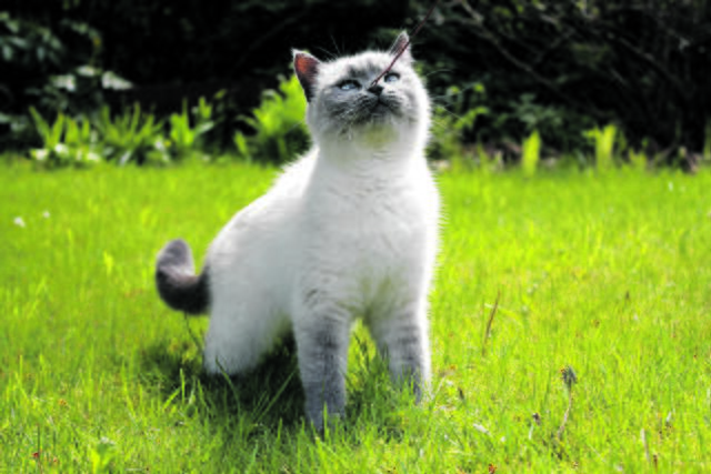 Elsi aus Nenndorf auf Entdeckungstour | Foto: Lina Meier_David Hadas