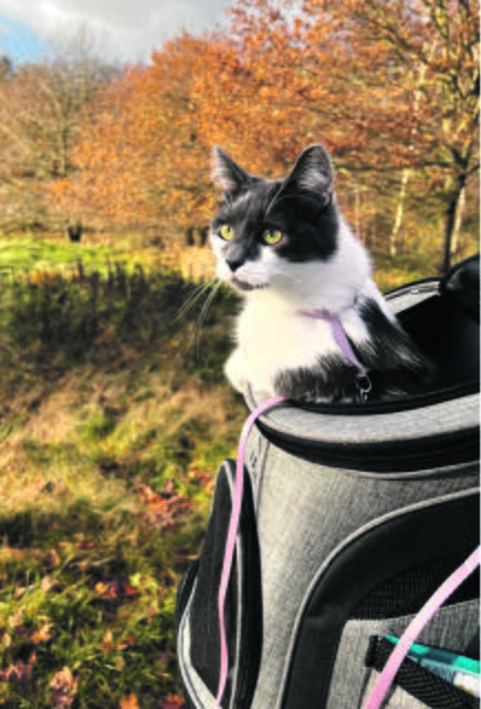 Fräulein Schnursala aus Buxtehude ist immer mit dabei | Foto: Jeanne O'Reilly