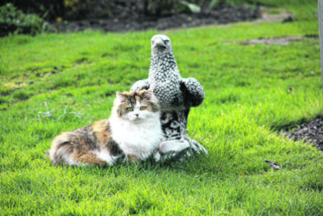 Outdoor-Entdecker: Heely aus Bendestorf | Foto: Jürgen Fuhrmann