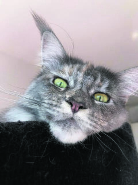 "Hallo, da unten!" - Fabia aus Buchholz | Foto: Jaclyn Haase