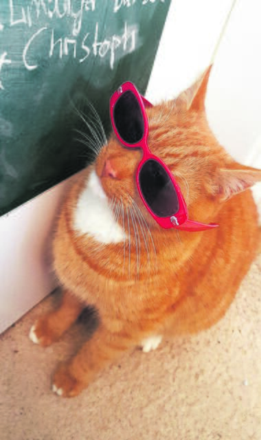 "Keep cool, bro" - Lenny aus Roydorf | Foto: Amelie Marks